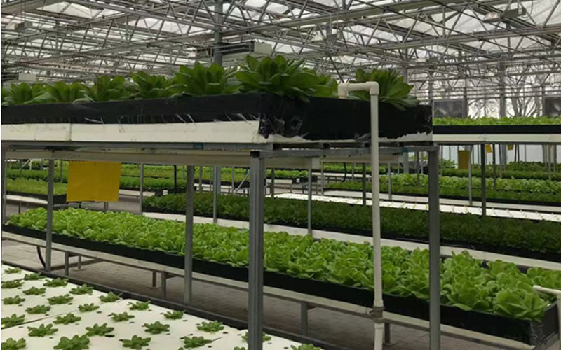 游艇会·yth206(中国)最新官网